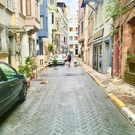 Cedar House * Istanbul
